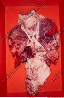 Photo Textures of RAW Pork Meat